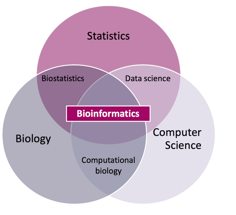 A Venn diagram describing bioinformatics as the intersection of statistics, biology and computer science.